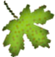 WB01242_.GIF
