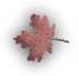 WB01242_.GIF