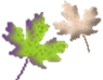 WB01242_.GIF,WB01242_.GIF