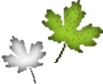 WB01242_.GIF,WB01242_.GIF