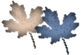 WB01242_.GIF,WB01242_.GIF