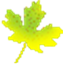 WB01242_.GIF