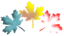 WB01243_.GIF,WB01242_.GIF,WB01243_.GIF