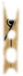 Pinza-05.jpg