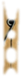 Pinza-05.jpg